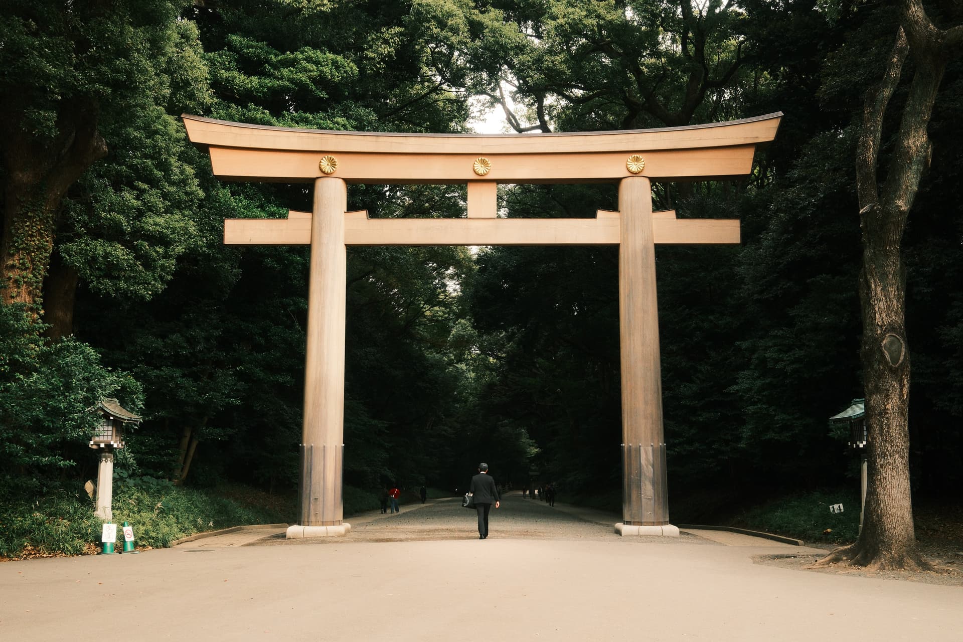 A large wooden torii gate stands on a tree-lined path in a Japanese shrine, with a solitary figure walking through the gate's open entrance, surrounded by lush green foliage.