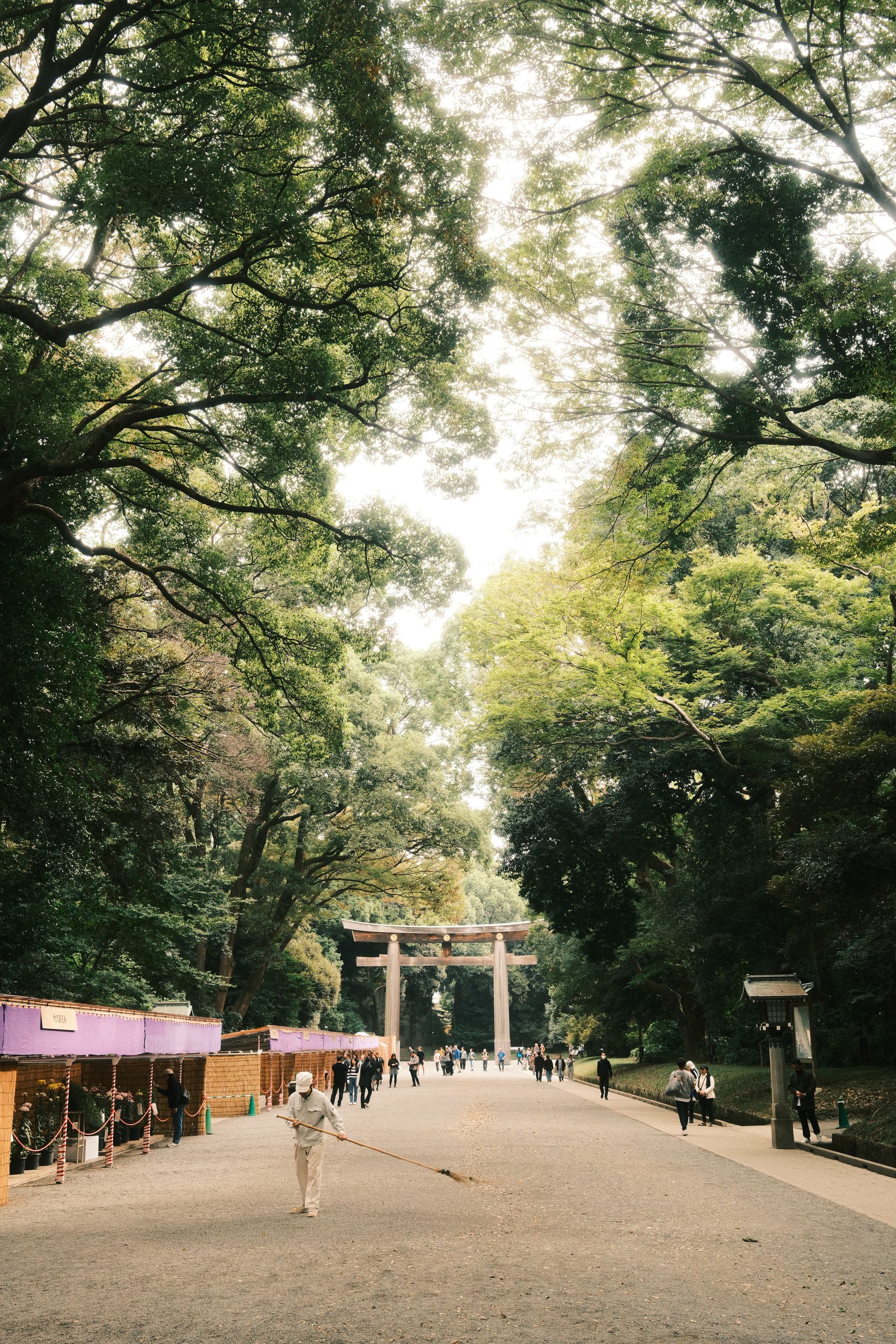 A large stone torii gate stands at the center of a tree-lined path in Meiji Shrine, Tokyo. Visitors walk along the gravel path, surrounded by lush green trees creating a serene, forest-like atmosphere with soft, filtered sunlight.