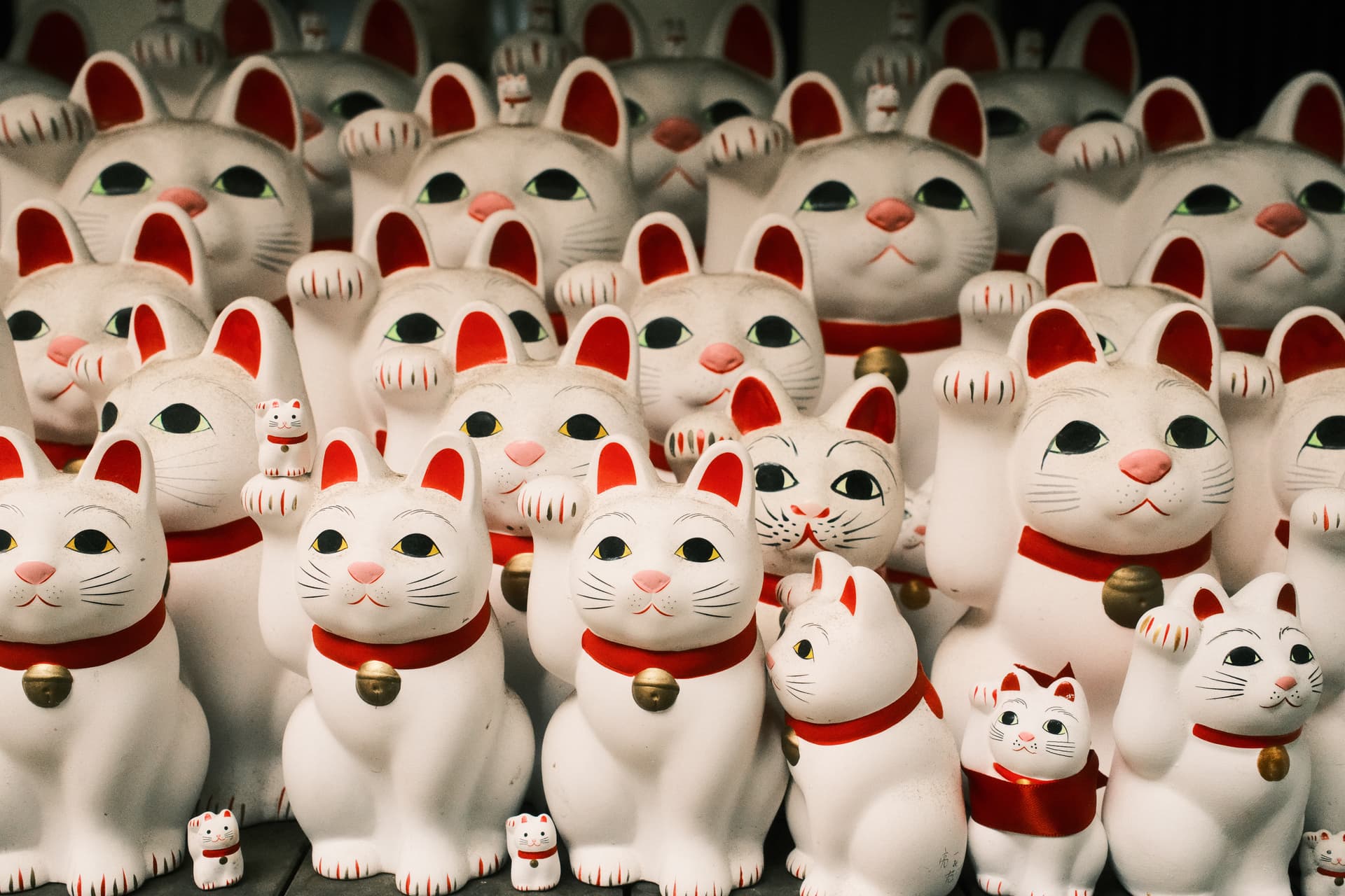 A collection of white and red Maneki-neko (lucky cat) figurines of varying sizes, displaying raised paws and wearing red collars with bells, densely arranged in multiple rows at what appears to be a Japanese shop or temple display.