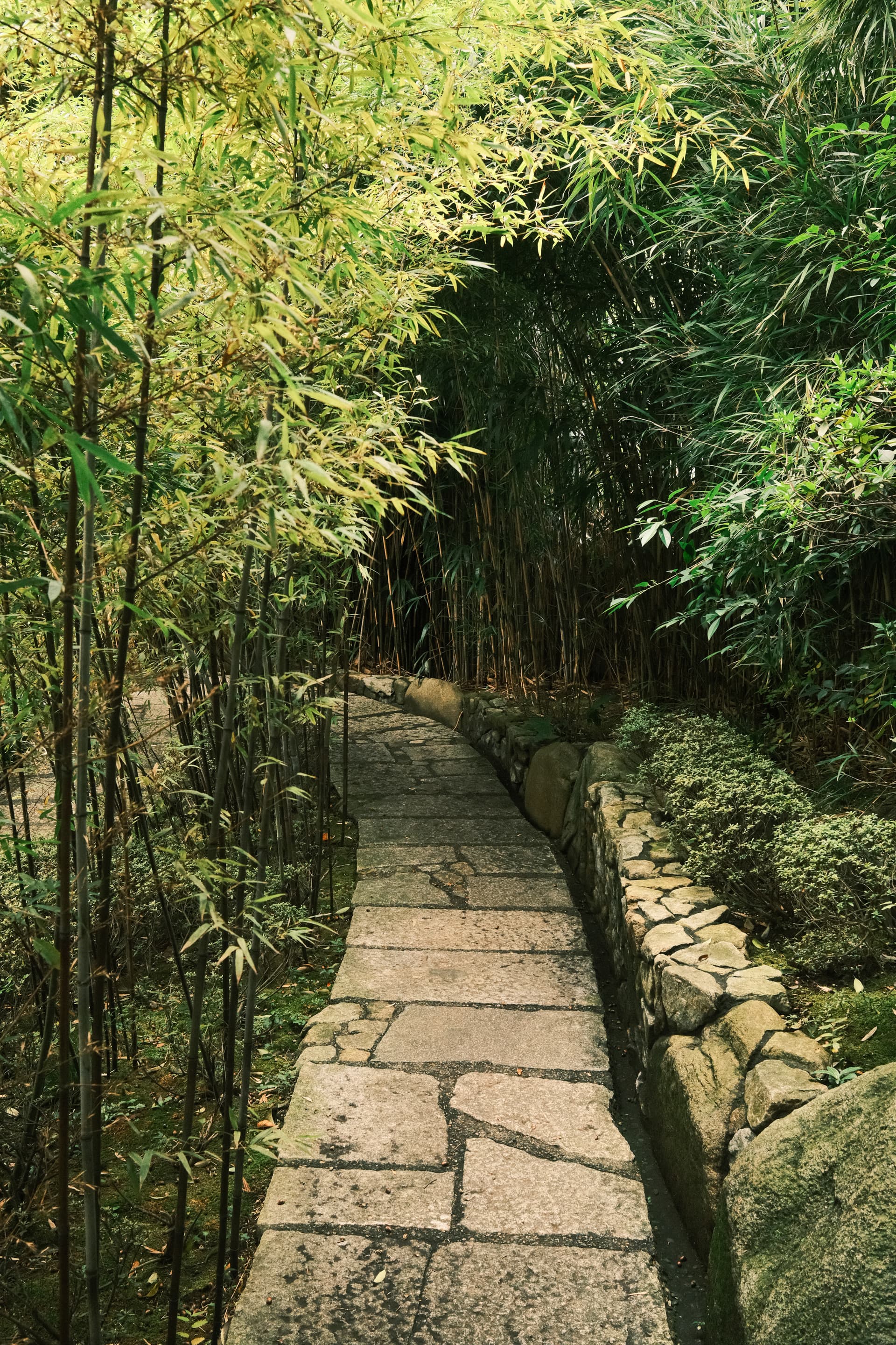 A stone path winds through a dense bamboo grove, flanked by stone walls and lush green foliage in varying shades of green and yellow. The traditional Japanese garden pathway creates a serene, enclosed walkway with bamboo stems arching overhead.