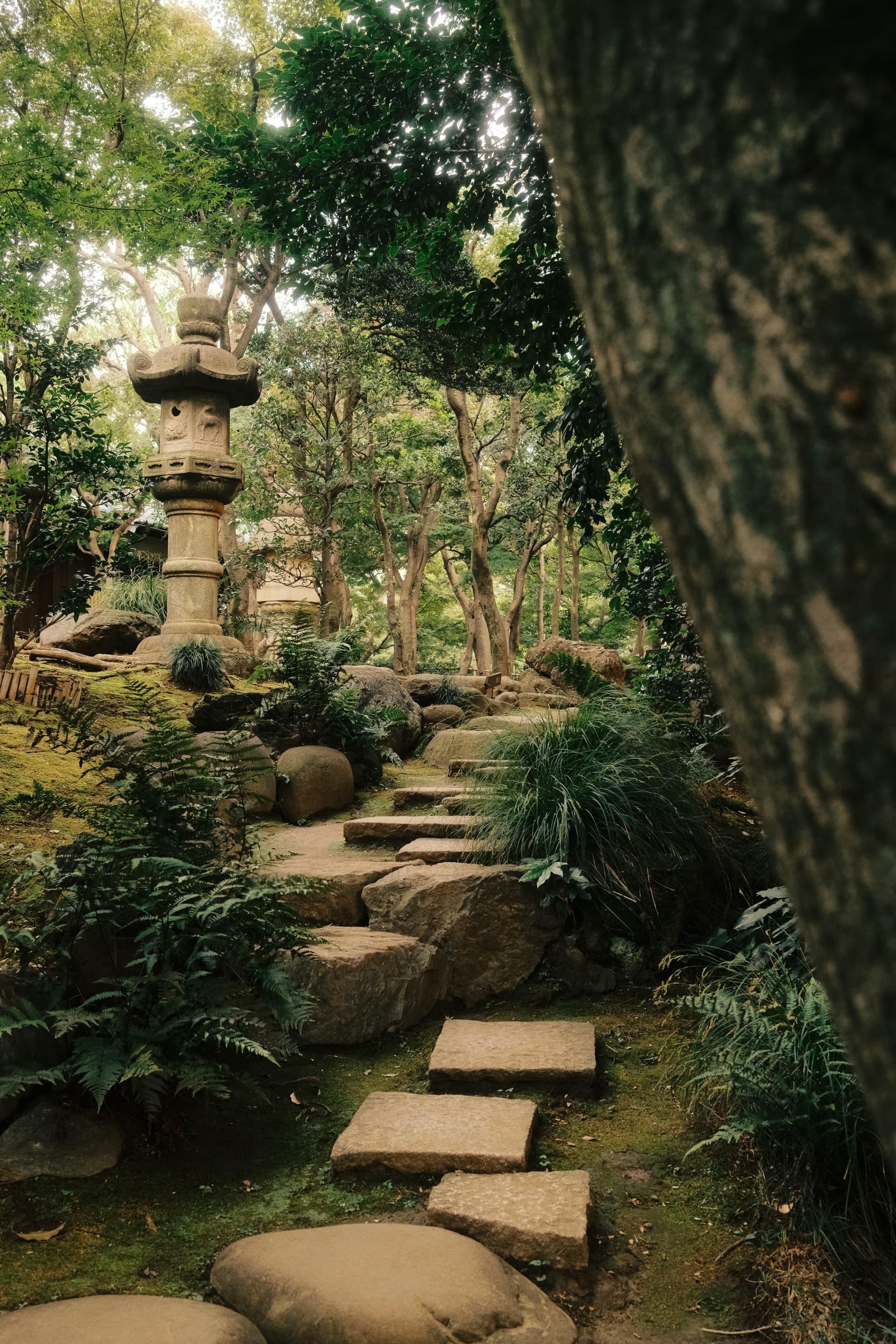 A tranquil Japanese garden path with stone steps winds through moss-covered rocks, ferns, and trees, leading to a traditional ishidōrō (stone lantern) in a serene, green woodland setting.